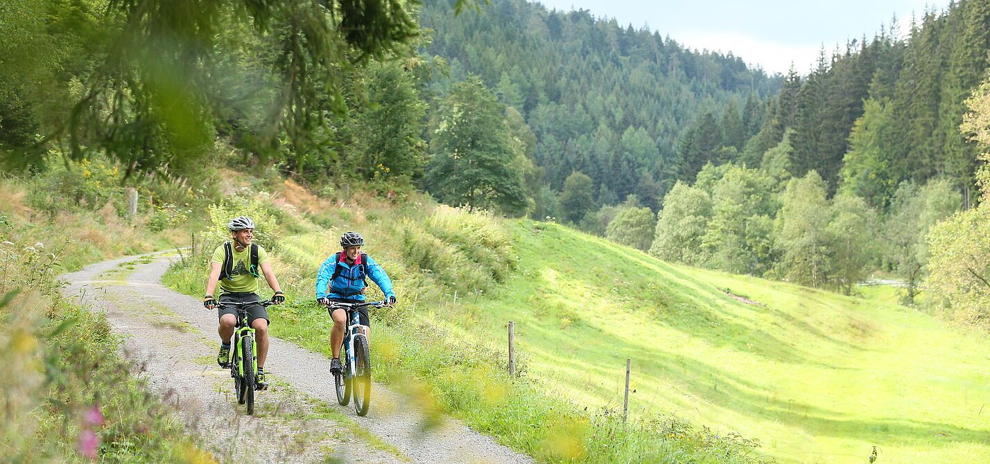 Schwarzwald pur_Unterwegs auf dem Enztal-Radweg Schwarzwald pur_Unterwegs auf dem Enztal-Radweg